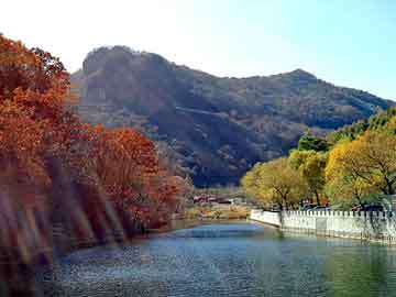 澳门二四六天天彩图库，重庆天涯论坛